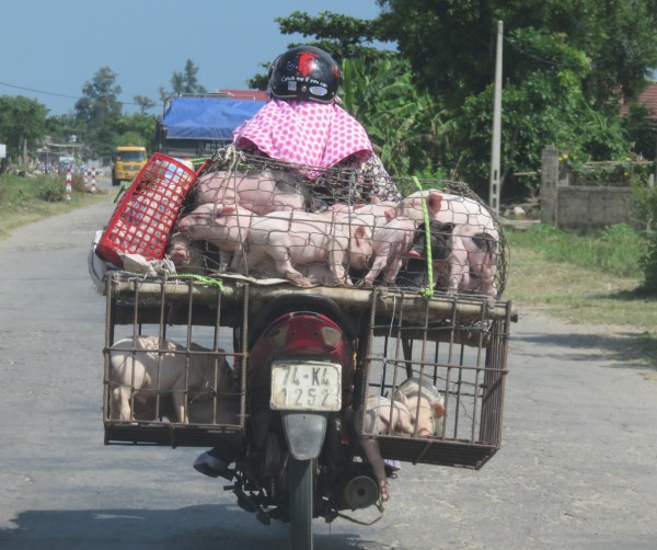 enroute to Vinh Moc tunnels