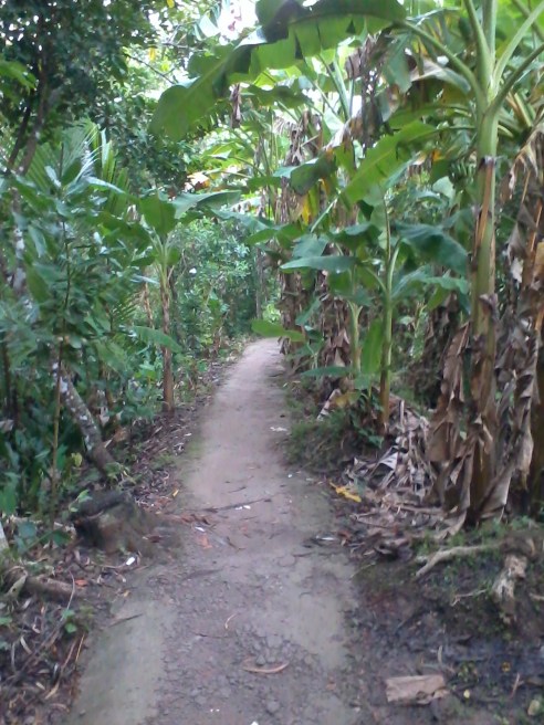 path to Green Village