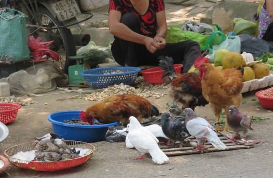market. Frogs front left.