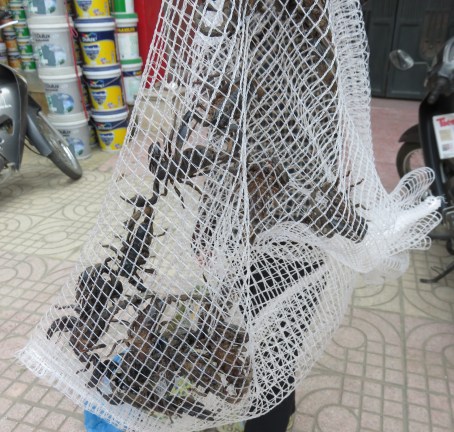 21 scorpions anyone?