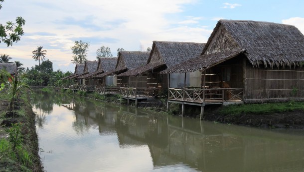 IMG_5647
